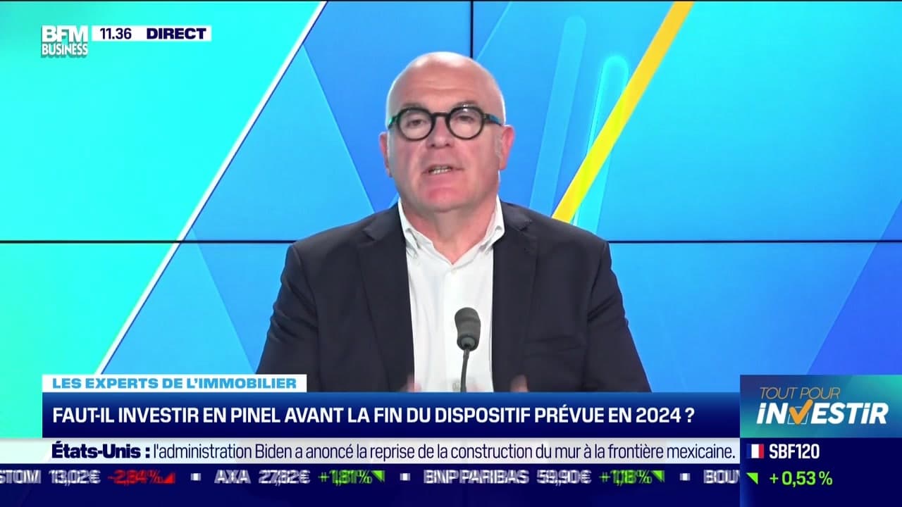 Les Experts De L'immo (2/2): Faut-il Investir En Pinel Avant La Fin Du ...