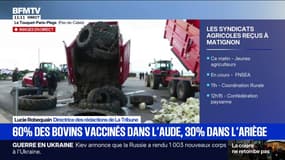Vaccination contre la dermatose bovine: "Il y a une petite fracture qui est en train de se faire" avec les agriculteurs, estime David Quint, vétérinaire 