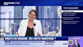 Droits de douane : de l'auto-sabotage ? 