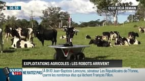 La chronique d'Anthony Morel: Les robots au service de l'agriculture - 03/03