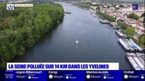 Yvelines: la Seine polluée sur 14 kilomètres