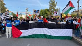 Une manifestation pro-palestinienne à Nice (image d'illustration).