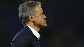 Luis Enrique lors du match de Ligue des champions entre le PSG et l'Atlético de Madrid - le 06/11/2024