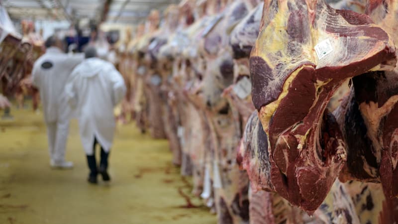 Etal de viande au marché de Rungis (illustration)