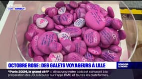 Octobre rose: des galets voyageurs à Lille