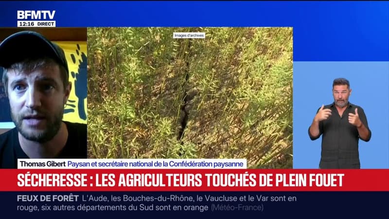 Sécheresse: "La situation est catastrophique au niveau du monde agricole", assure Thomas Gibert, secrétaire national de la Confédération paysanne