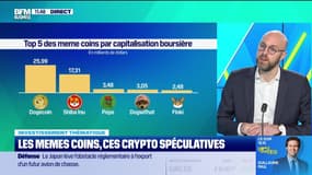 Investissement thématique : Les memes coins, ces crypto spéculatives - 26/03 