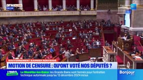 Motion de censure: qu'ont voté les députés des Alpes du Sud?