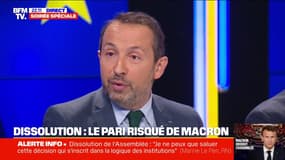 Élections législatives anticipées: "On a déjà dit qu'on voulait Jordan Bardella à Matignon", affirme Sébastien Chenu (RN)