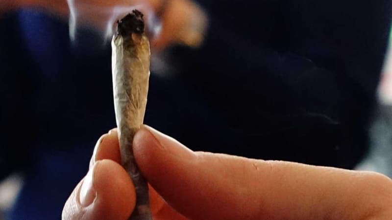 Le maire de Narbonne a annoncé vendredi l'ouverture d'une enquête sur l'incident au cours duquel un bébé d'un an a ingéré un mégot de cannabis en jouant dans un parc public de la ville (photo d'illustration).