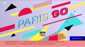 Paris Go : Festival, le Rond-Point dans le jardin ! - 11/09