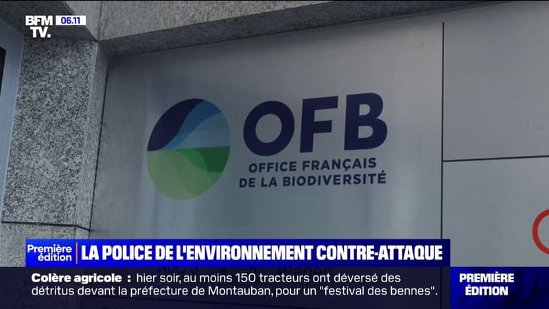 Regarder la vidéo Colère agricole: 40 plaintes déposées par l'OFB depuis fin 2023 suite aux actions de certains agriculteurs