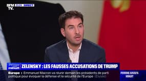 L'ŒIL DE RAPHAËL - Donald Trump accuse Volodymyr Zelensky d'avoir "perdu" la moitié de l'aide fournie par les États-Unis à Kiev 