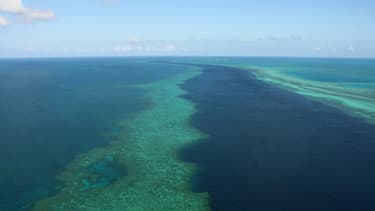 Vue aérienne de la barrière de corail