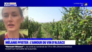 "Des vins dans l'ère du temps": l'association Les diVINes d'Alsace regroupe les femmes de la vigne