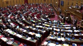 Suivez en direct le vote de la réforme des retraites au Sénat