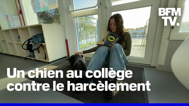 J'ai l'impression d'avoir un ami: un collège de Charente-Maritime adopte un chien pour lutter contre le harcèlement et le décrochage scolaire