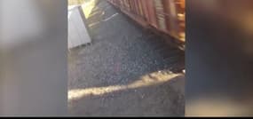 Un bus scolaire évite de près la collision avec un train 