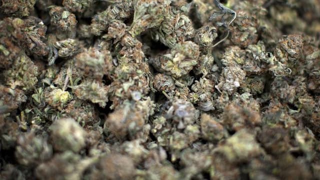 Plus d'une tonne de cannabis a notamment été saisi depuis janvier dans la capitale.