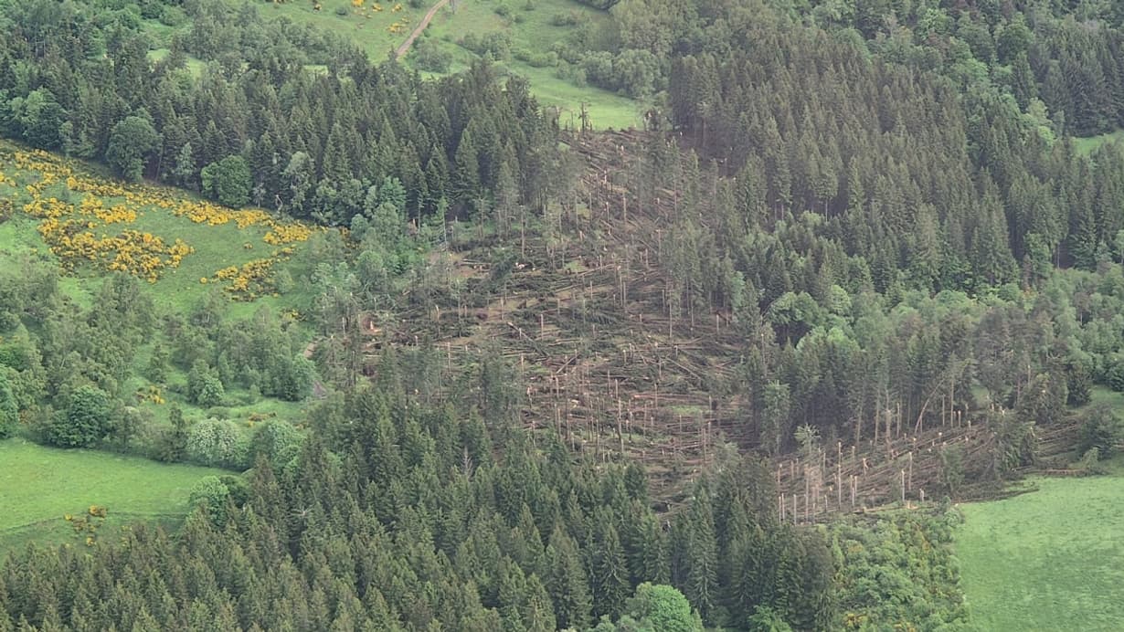 Les dégâts après le passage d'une tornade dans la Loire, le 3 juin 2024.
