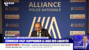 Éric Zemmour propose de "supprimer le juge des libertés"