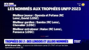 Trophées de Ligue 1: des Lensois et Lillois nommés