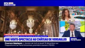 Yvelines: les fêtes de fin d'année "un moment d'exception" au château de Versailles