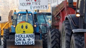 Les agriculteurs du Bas-Rhin manifestent à Strasbourg pour exprimer leur mécontentement à l'égard de plusieurs mesures gouvernementales qui nuisent, selon eux, à leur compétitivité. /Photo prise le 13 novembre 2012/REUTERS/Vincent Kessler
