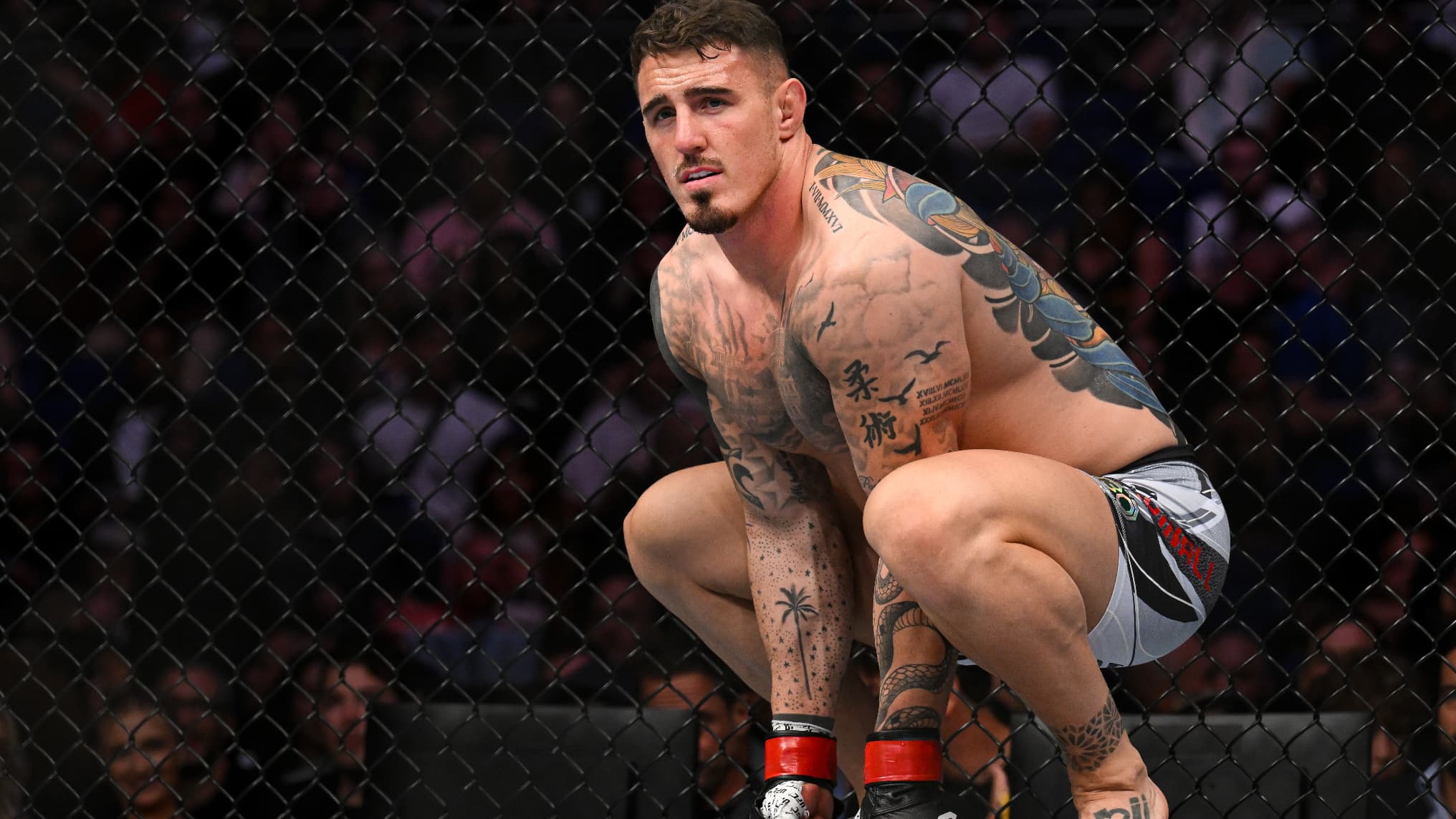 "CE COMBAT ARRIVE AU BON MOMENT": L'IMPATIENCE DE TOM ASPINALL, PRÊT À MONTRER LES MUSCLES FACE À CIRYL GANE