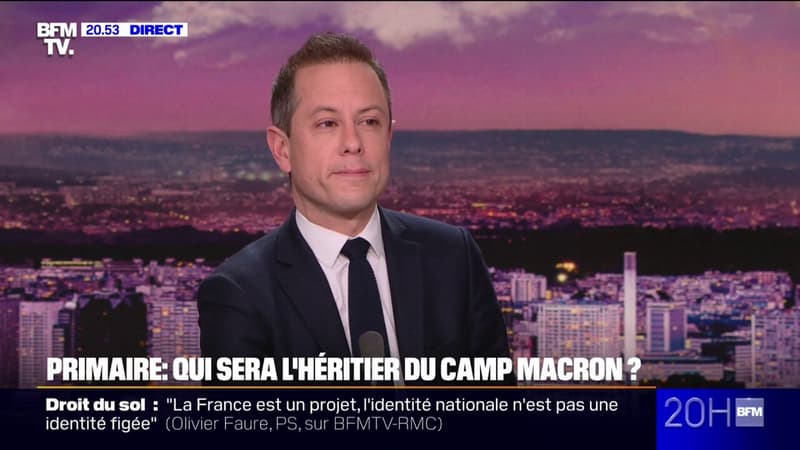 LE CHOIX DE GUILLAUME - Primaire: qui sera l'héritier du camp Macron?