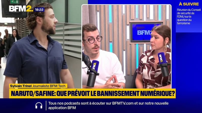 Affaire Pormanove : ce que prévoit "le bannissement numérique" auquel ont été condamnés les streamers Naruto et Safine