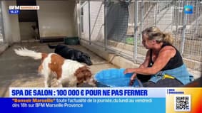 Menacé de faillite, le SPA de Salon-de-Provence lance une cagnotte