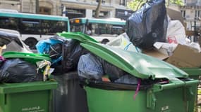 Des poubelles à Paris