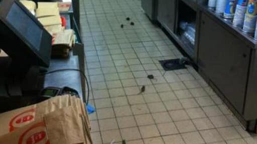 Une image des rats traversant les cuisines du Quick de Belleville
