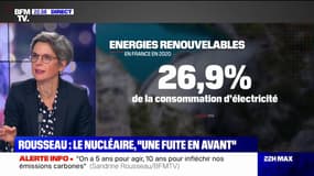Sandrine Rousseau voudrait qu'il n'y ait "plus de nucléaire en 2050"