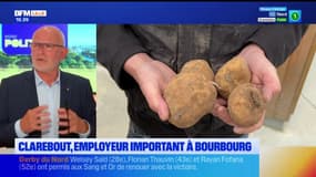 Prix de la pomme de terre en baisse: "La consommation a baissé", estime Eric Gens, maire de Bourbourg