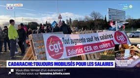 Nouvelle journée de mobilisation au CEA de Cadarache