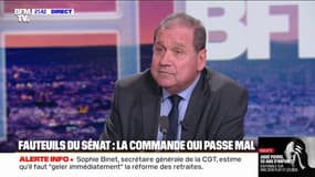 Fauteuils du Sénat: "Les Français nous en voudraient si nous n'entretenions pas le patrimoine qui nous est confié", estime Max Brisson (sénateur LR)