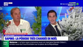 Pépinières Robin: la période très chargée de Noël
