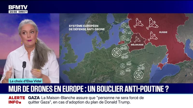 LE CHOIX D'ELSA - Le projet d'un 