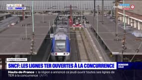 SNCF: la région des Hauts-de-France ouvre l'intégralité de ses lignes TER à la concurrence 