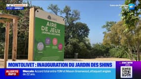 Marseille: le jardin des Shins fait peau neuve
