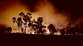 Des pompiers luttent contre un incendie de forêt, le 15 avril 2018 près de Sydney, en Australie