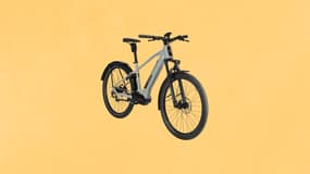Comment fait Intersport pour faire chuter autant le prix de ce vélo électrique ? 