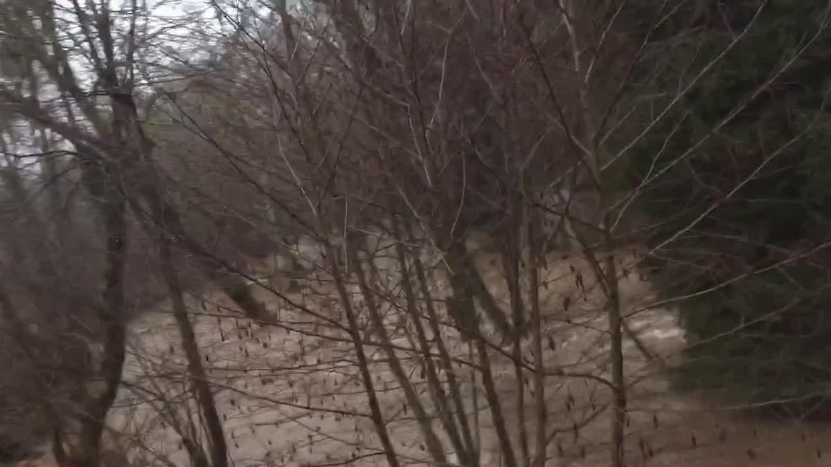 placeholder video