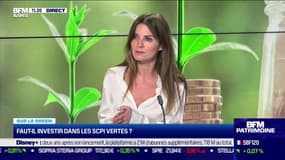 Sur le green: Faut-il investir dans les SCPI vertes ? - 11/11