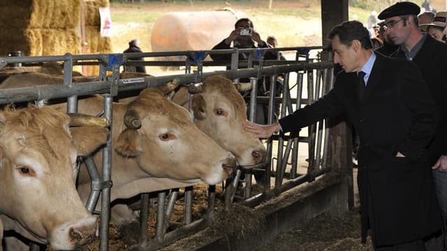Nicolas Sarkozy lors de la visite d'une ferme à Marsan, dans le Gers, mardi. L'UMP contre-attaque face aux accusations du Parti socialiste sur les déplacements du chef de l'Etat pendant la pré-campagne présidentielle en demandant une vérification des dépl