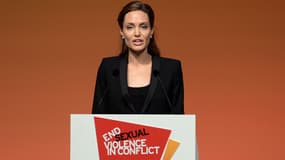L'actrice américaine Angelina Jolie est déjà engagée dans plusieurs combats humanitaires.