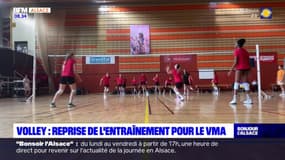 Mulhouse: l'heure de la reprise pour les volleyeuses du VMA