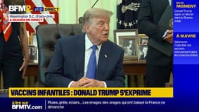 Donald Trump à propos des candidats démocrates: "Des djihadistes sont élus un peu partout